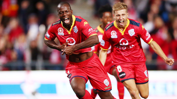 Bruce Djite says Adelaide United will need to adapt to being the hunted in 2016/17.