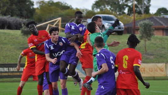 Glory all set for crunch clash with Bayswater